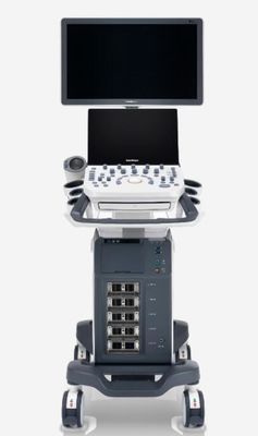 Giá tốt Hệ thống siêu âm Doppler màu kỹ thuật số P20 tích hợp trong pin trực tuyến