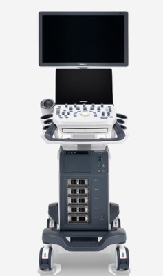 Good price Hệ thống siêu âm Doppler màu kỹ thuật số P20 tích hợp trong pin trực tuyến