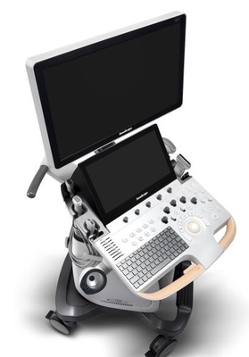 Good price Hệ thống siêu âm chẩn đoán Doppler màu Tích hợp trong mô-đun điện tâm đồ P60 trực tuyến